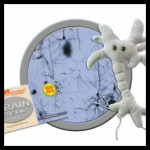 Brain Cell from Giant Microbes